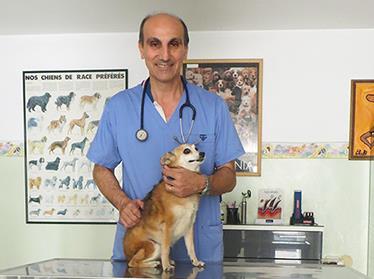 מרפאת פולג לחיות בית   