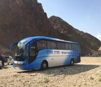 מעיין טורס   