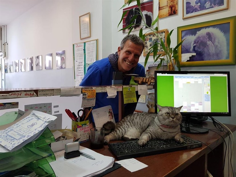 ד"ר טל צמח - ביח לחיות נווה צדק   