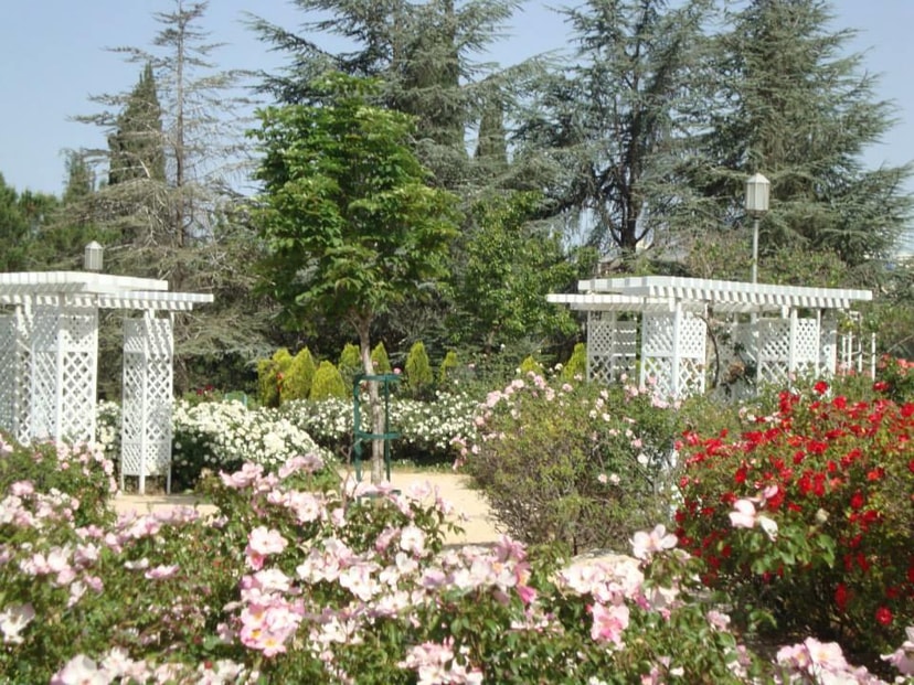 הבית והנוף - אמנות בתכנון הגן   