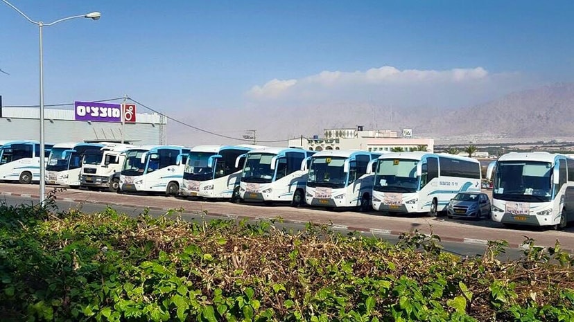 שחר צח שרותי הסעות   