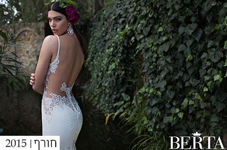 ברטה יעוץ לגיל הזהב   