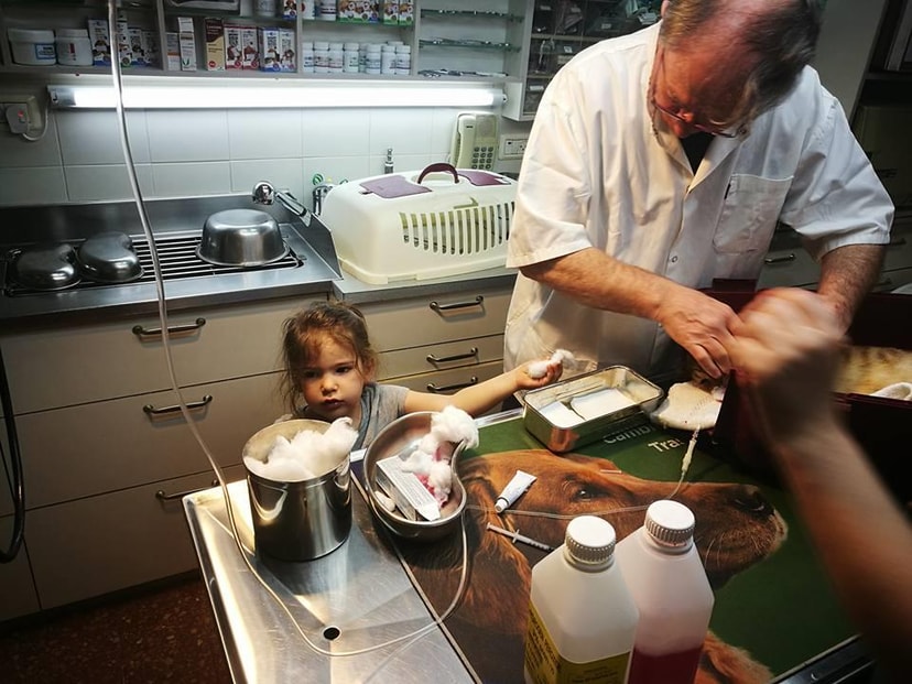 ד"ר אברהם לבנון   