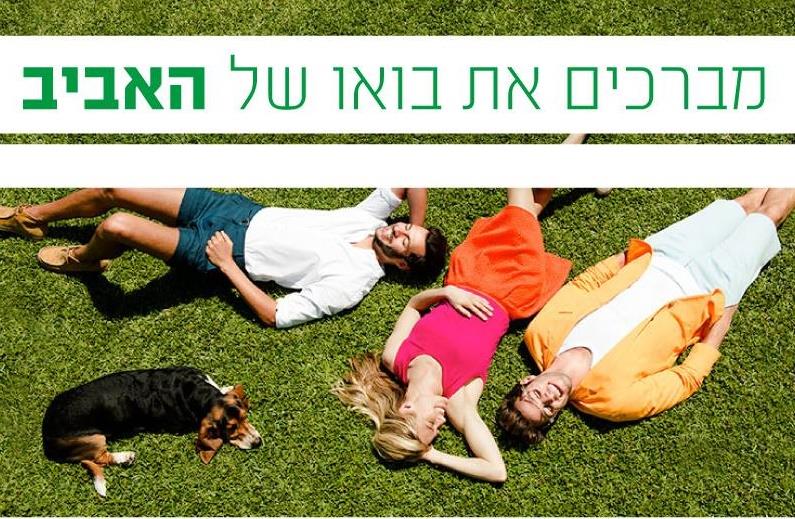 נעלי גלי   