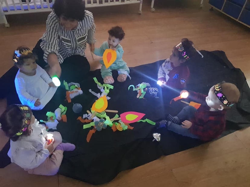 גן הפרחים של נורית   