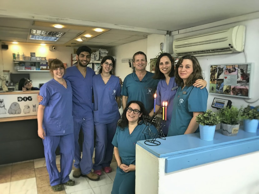 בית חולים וטרינרי רחובות   