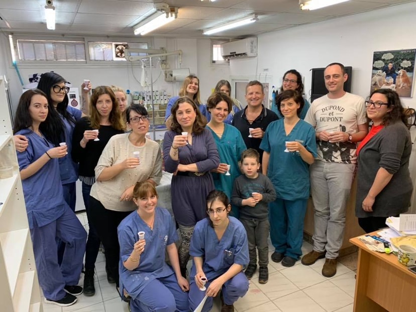 בית חולים וטרינרי רחובות   