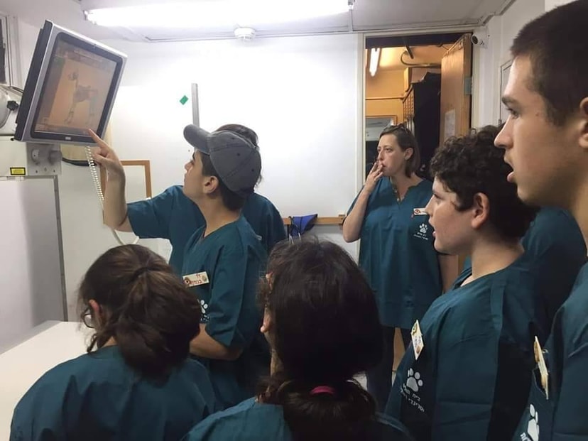 בית חולים וטרינרי רחובות   