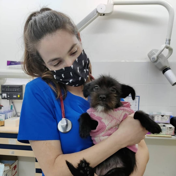 ד"ר בני סופר   
