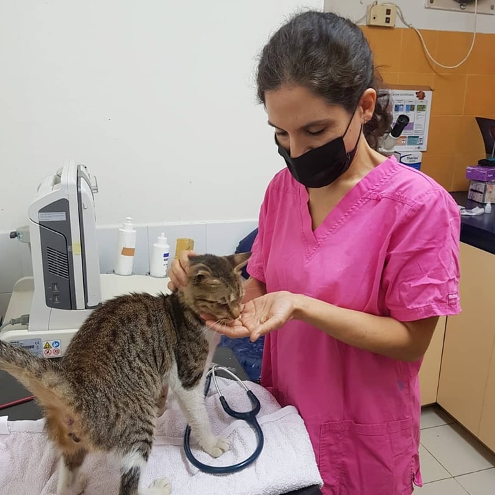 ד"ר בני סופר   