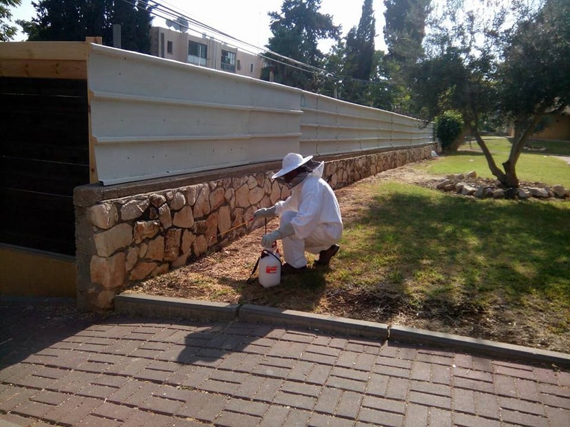אמנון הדברת מזיקים   