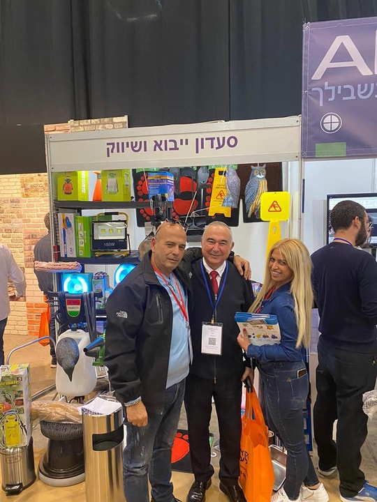 סעדון   
