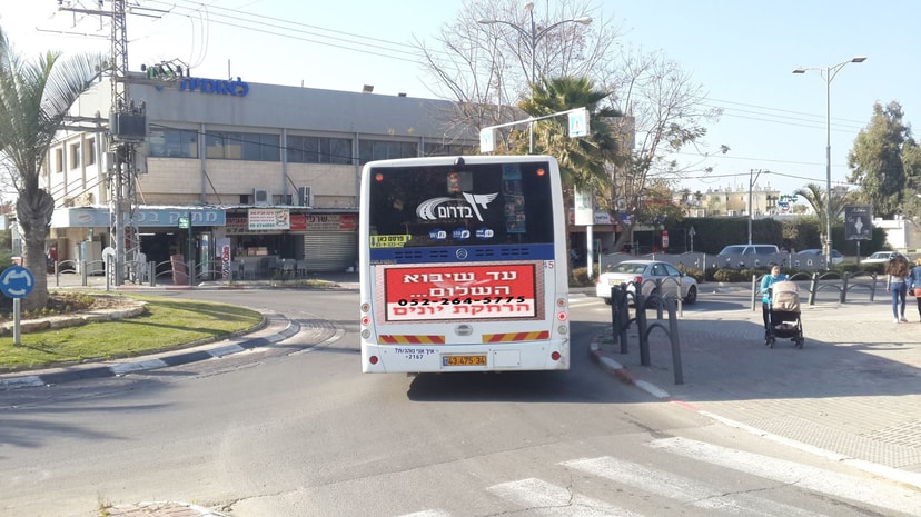 עד שיבוא השלום הרחקת יונים   