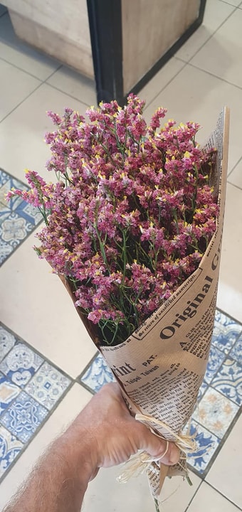 שושנת העמקים   