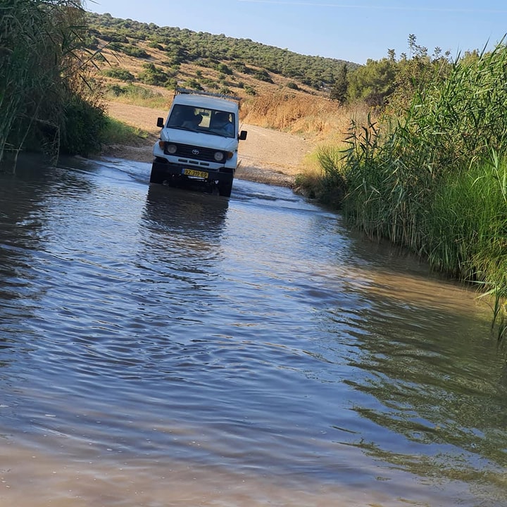 אלחנן הסעות וטיולים   