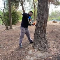 קובי הדברות   