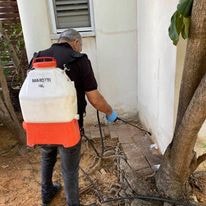 קובי הדברות   