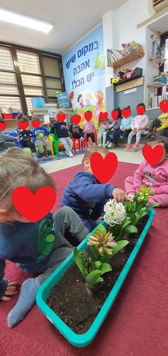 הקן לגוזלים   