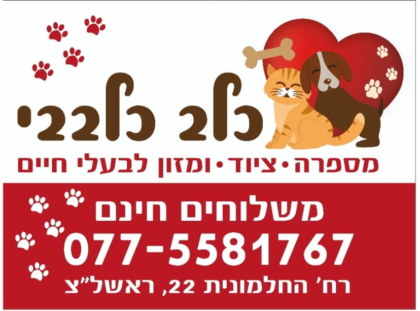 כלב כלבבי   