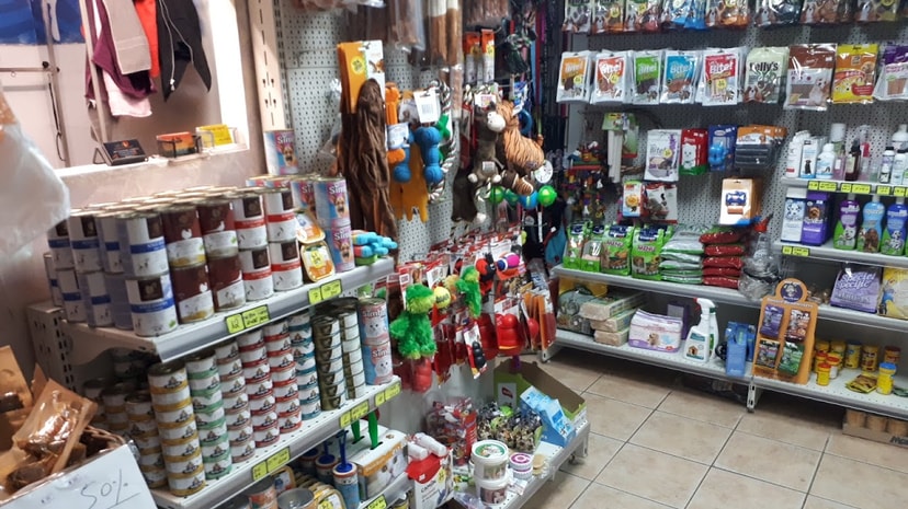 כלב כלבבי   