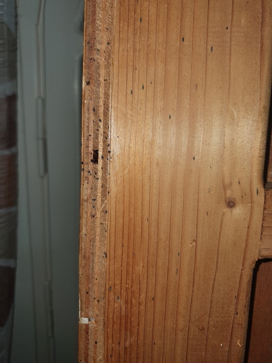 שגיא המדביר שירותי הדברה וניטור   