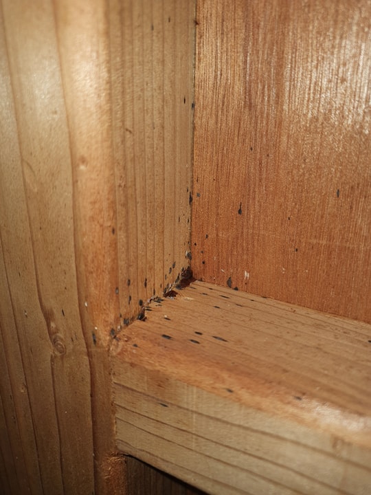 שגיא המדביר שירותי הדברה וניטור   