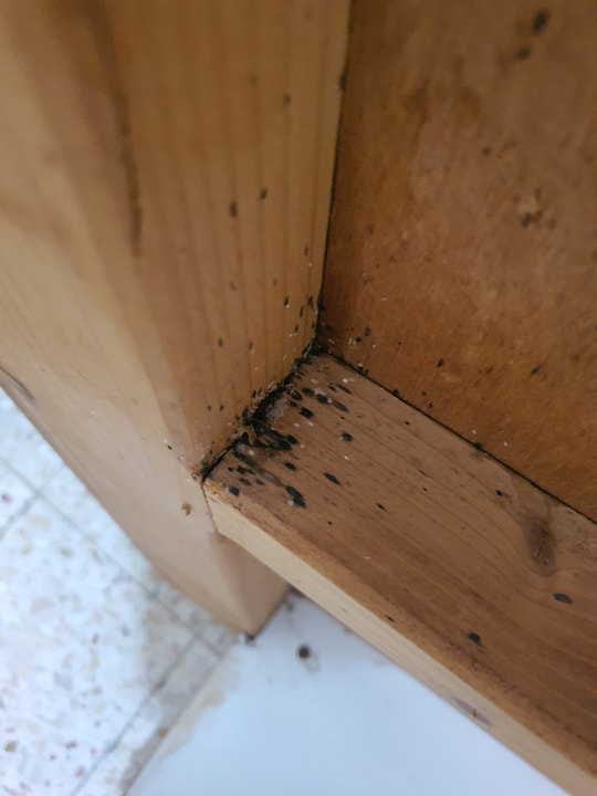 שגיא המדביר שירותי הדברה וניטור   