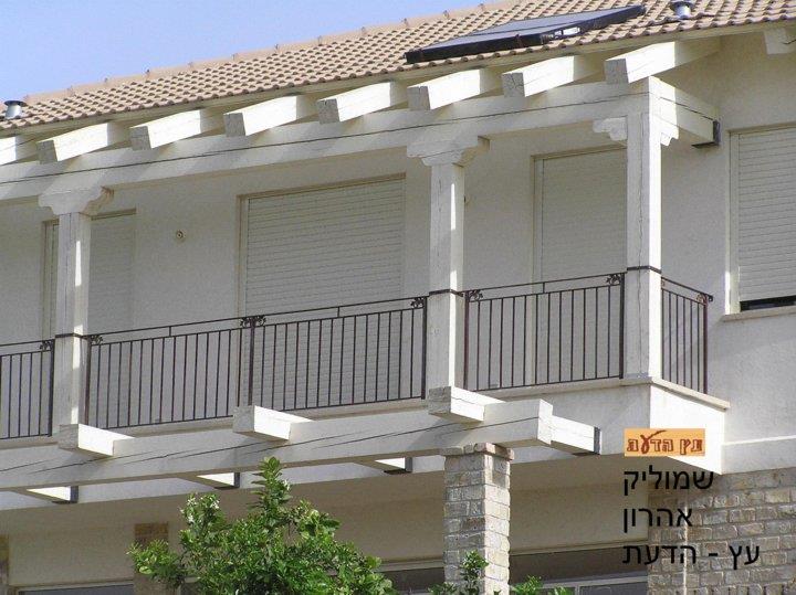 עץ הדעת   