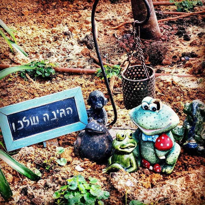 אדניות - עיצוב גינות   