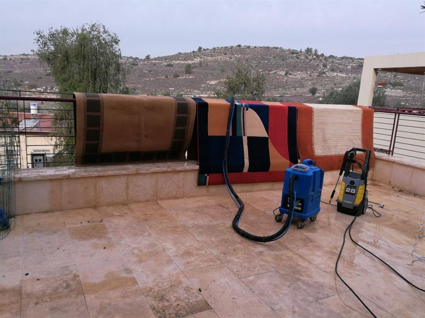 טל קלין   