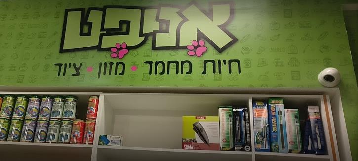 אניפט   