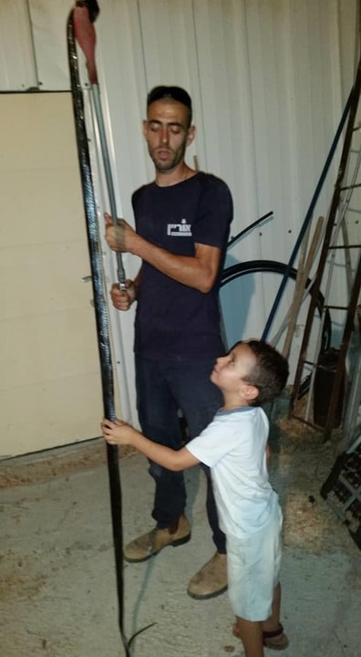 אוריין לכידה הדברה ואחזקה   