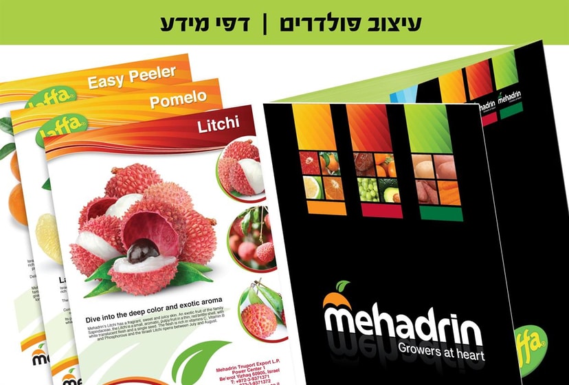 סטודיו ארמדילו עיצוב פולדרים ודפי מידע  