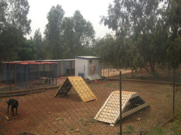 המרכז לכלבנות-צפון   