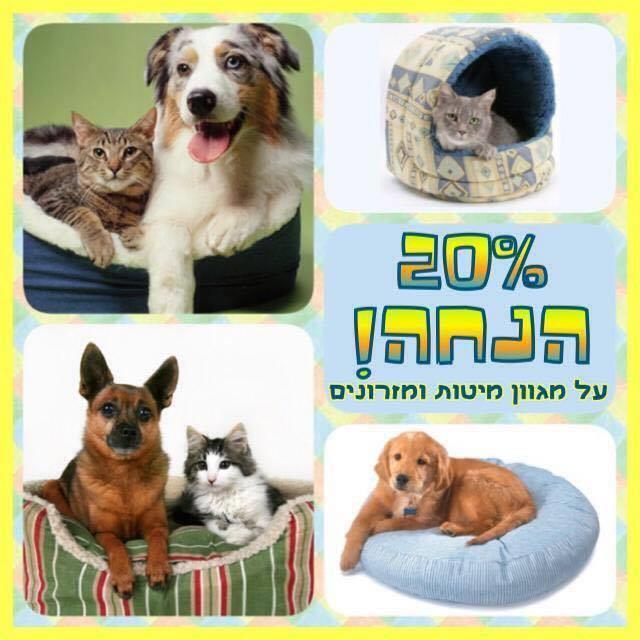 זולנד   