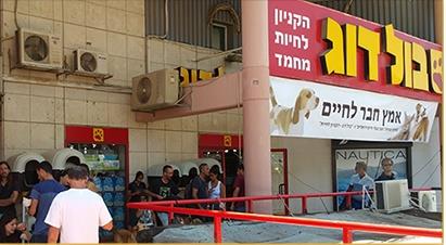 בולדוג הקניון חיות מחמד   