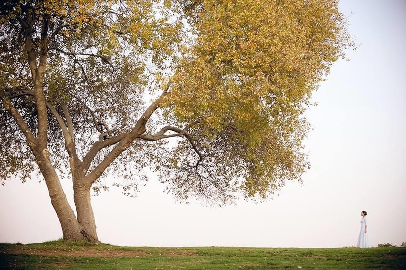 תום ברטוב   