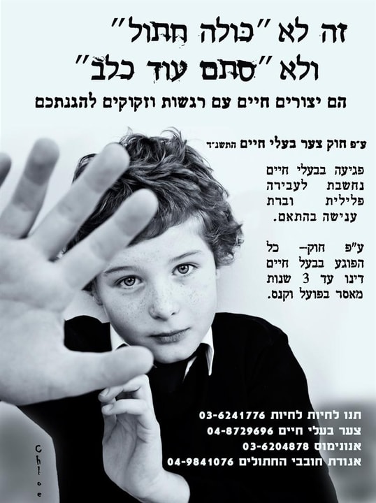 ארטאטק קמפיין  