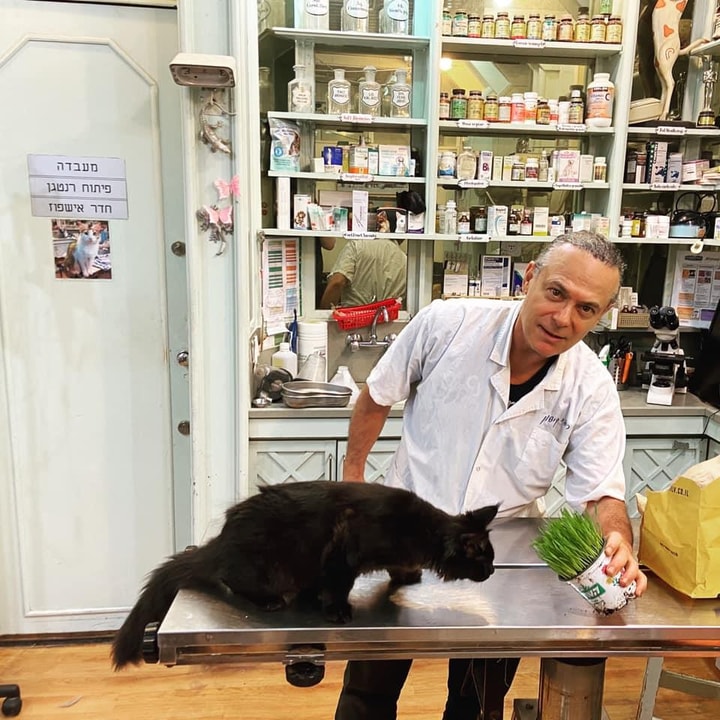 ד"ר רפי קישון   
