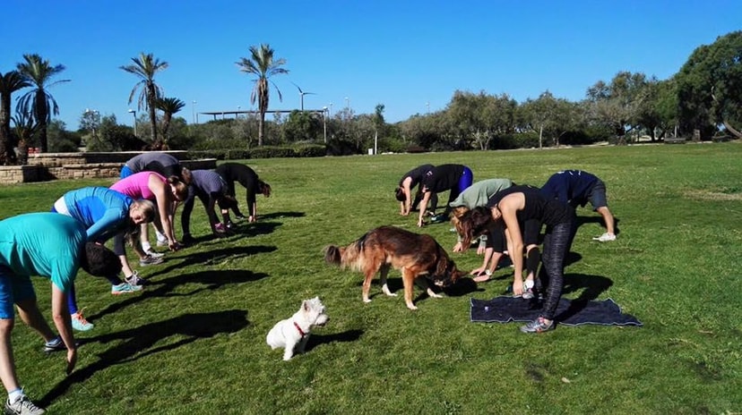 Outdoor Fitness Israel   