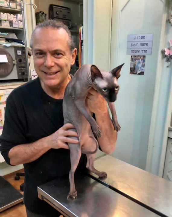 ד"ר רפי קישון   