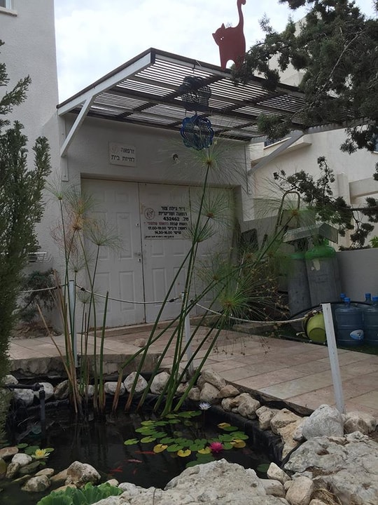 מרפאה וטרינרית דר מוטי נאור   