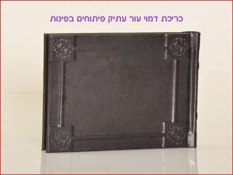 פלאש אלבום בע"מ   