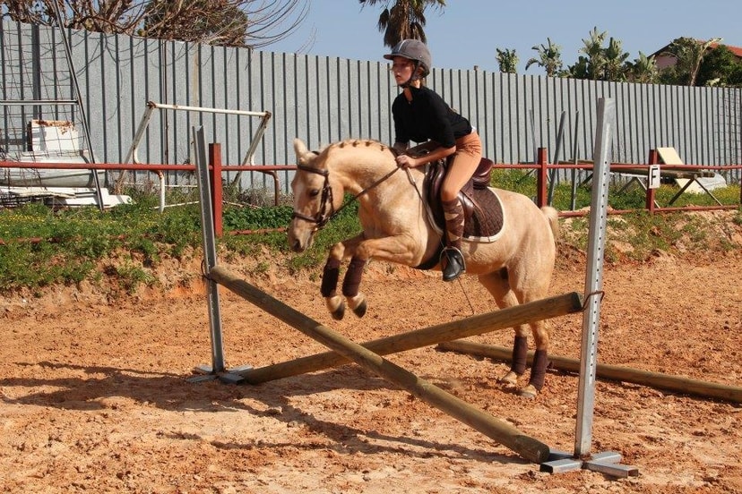 אורוות רוסמן שיעור קפיצות,יחס משפחתי,מקצועיות וכיף בשילוב מנצח  
