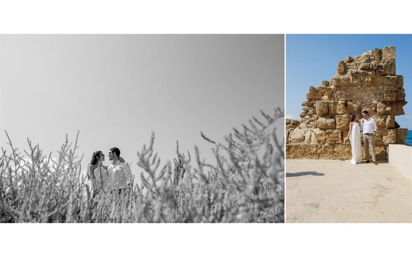 תום ברטוב   