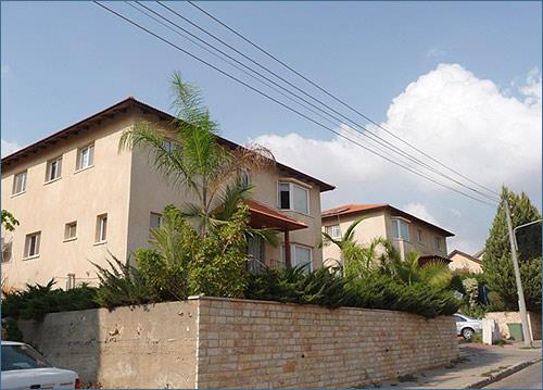 ארזים תדהר   