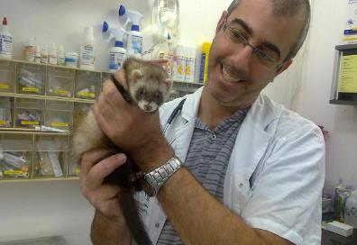 ד"ר שמעון וידמאייר וטרינר   