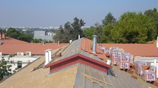 פרג' אבי   