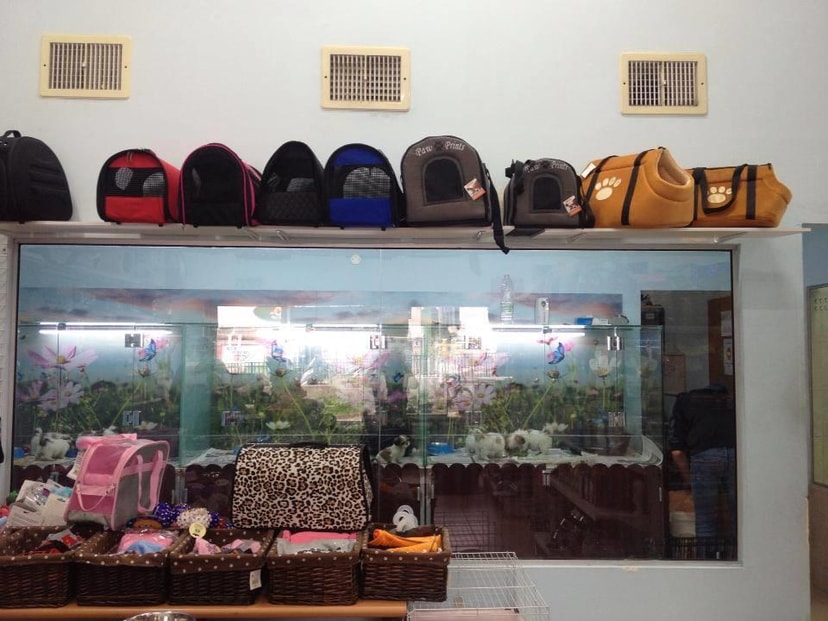 מולי חיות מחמד   