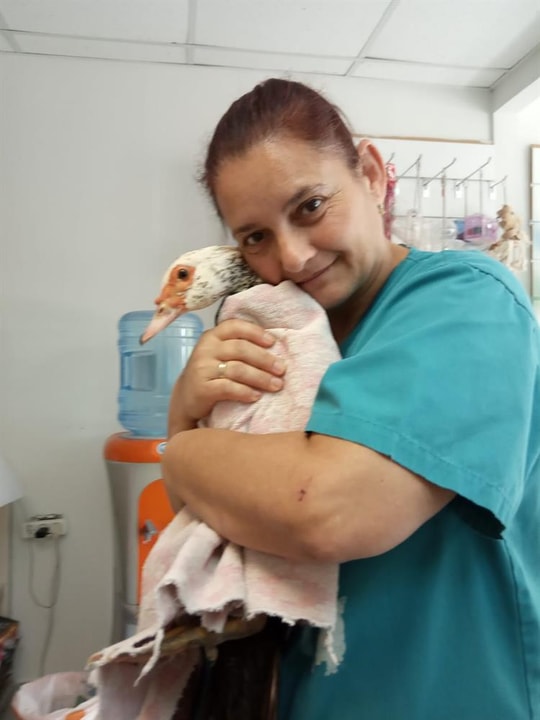 מרכז וטרינרי השרון   